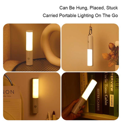 Motion Sensor LED Wall Lamp