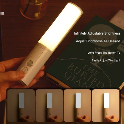Motion Sensor LED Wall Lamp